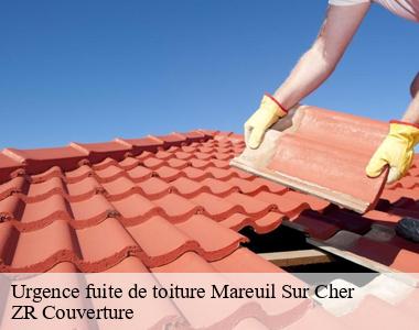 Entreprise de remise en état de toiture perméable trouvable à Mareuil Sur Cher 41110