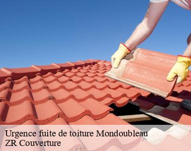 Urgence en matière de réparation toiture à Mondoubleau, dans le 41170 : les propriétaires se fient à Artisan Mecquesse