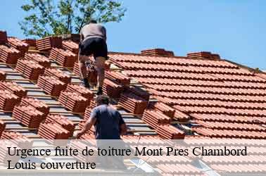 Urgence fuite de toiture  mont-pres-chambord-41250 Louis couverture