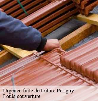 Urgence fuite de toiture  perigny-41100 Louis couverture