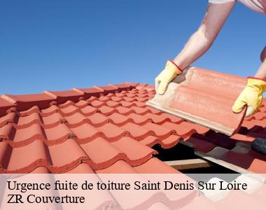 Entreprise de remise en état de toiture perméable trouvable à Saint Denis Sur Loire 41000