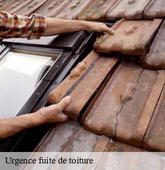 Urgence fuite de toiture  saint-dye-sur-loire-41500 Louis couverture
