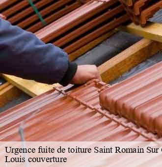Urgence fuite de toiture saint-romain-sur-cher-41140 Louis couverture