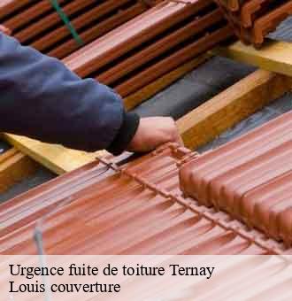 Urgence fuite de toiture  ternay-41800 Louis couverture