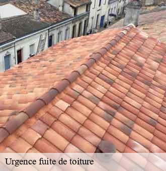 Urgence fuite de toiture  villedieu-le-chateau-41800 Louis couverture