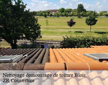  ZR Couverture, un professionnel du nettoyage de toiture à Blois