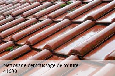 Nettoyage demoussage de toiture  chaon-41600 Louis couverture