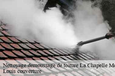 Nettoyage demoussage de toiture  la-chapelle-montmartin-41320 Louis couverture