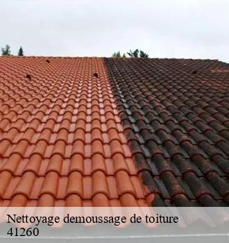 Entreprise de nettoyage et démoussage de toiture intervient à La Chaussee Saint Victor 41260