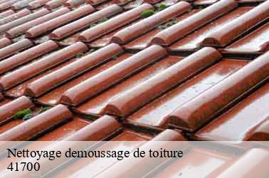 Nettoyage demoussage de toiture choussy-41700 Louis couverture