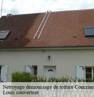 Nettoyage demoussage de toiture  concriers-41370 Louis couverture