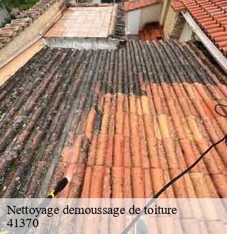 Nettoyage demoussage de toiture  concriers-41370 Louis couverture