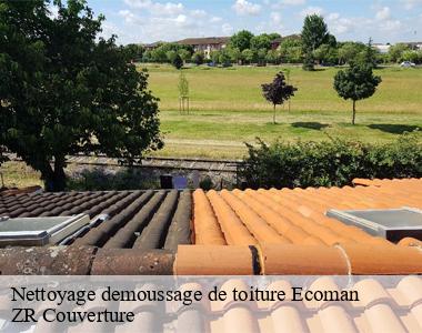 Entreprise de nettoyage et démoussage de toiture intervient à Ecoman 41290