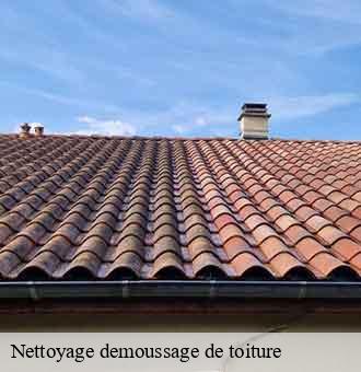 Nettoyage demoussage de toiture  feings-41120 Louis couverture