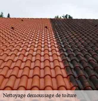 Nettoyage demoussage de toiture  gy-en-sologne-41230 Louis couverture