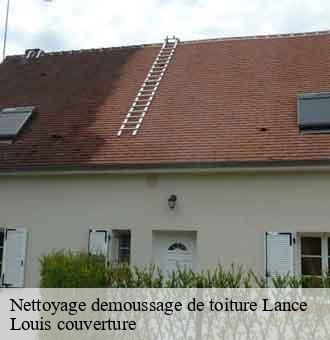 Nettoyage demoussage de toiture  lance-41310 Louis couverture