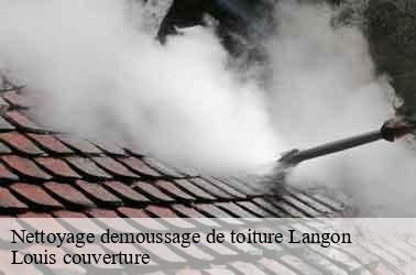 Nettoyage demoussage de toiture  langon-41320 Louis couverture