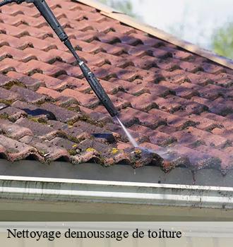 Entreprise de nettoyage et démoussage de toiture intervient à Saint Bohaire 41330