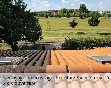 Entreprise de nettoyage et démoussage de toiture intervient à Saint Firmin Des Pres 41100