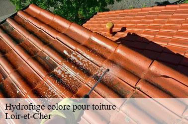 Hydrofuge colore pour toiture 41 Loir-et-Cher  Louis couverture