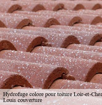 Hydrofuge colore pour toiture 41 Loir-et-Cher  Louis couverture