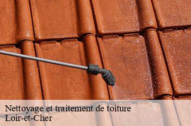 Nettoyage et traitement de toiture 41 Loir-et-Cher Louis couverture
