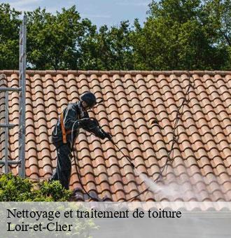 Nettoyage et traitement de toiture 41 Loir-et-Cher Louis couverture