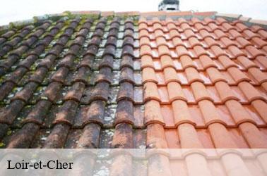  41 Loir-et-Cher  Louis couverture