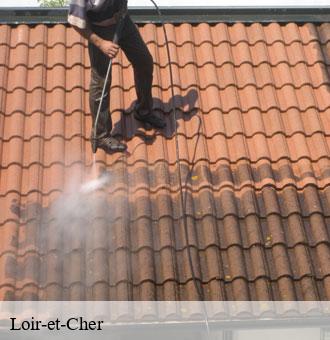  41 Loir-et-Cher  Louis couverture