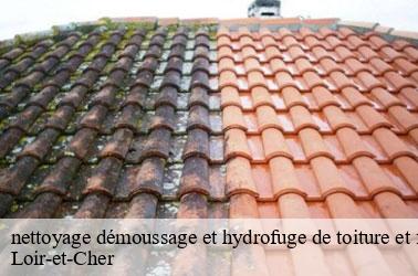 nettoyage démoussage et hydrofuge de toiture et façade 41 Loir-et-Cher Louis couverture