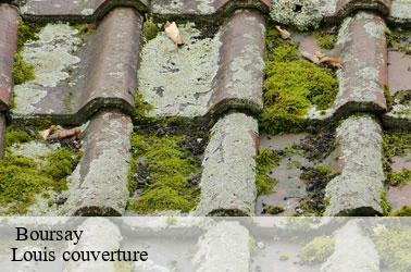   boursay-41270 Louis couverture
