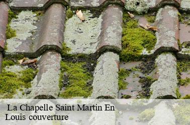   la-chapelle-saint-martin-en-41500 Louis couverture