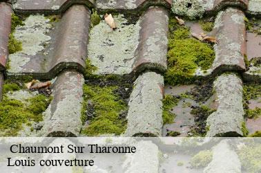   chaumont-sur-tharonne-41600 Louis couverture