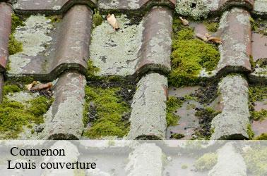   cormenon-41170 Louis couverture