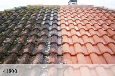   les-essarts-41800 Louis couverture