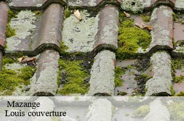   mazange-41100 Louis couverture