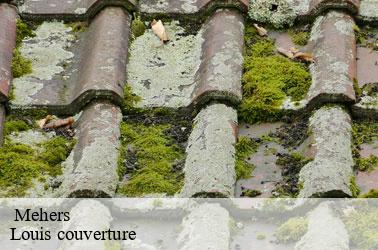   mehers-41140 Louis couverture