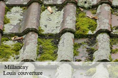   millancay-41200 Louis couverture