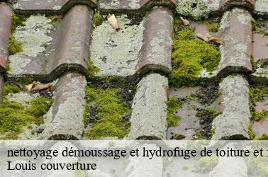 nettoyage démoussage et hydrofuge de toiture et façade nourray-41310 Louis couverture