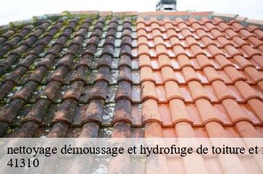 nettoyage démoussage et hydrofuge de toiture et façade nourray-41310 Louis couverture