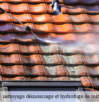 nettoyage démoussage et hydrofuge de toiture et façade nourray-41310 Louis couverture