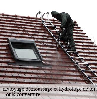 nettoyage démoussage et hydrofuge de toiture et façade nourray-41310 Louis couverture