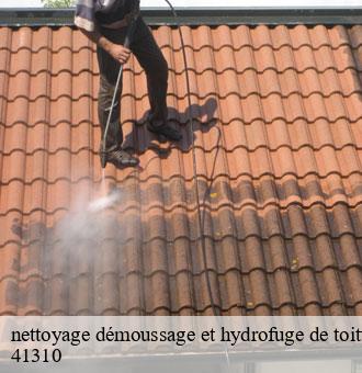 nettoyage démoussage et hydrofuge de toiture et façade nourray-41310 Louis couverture