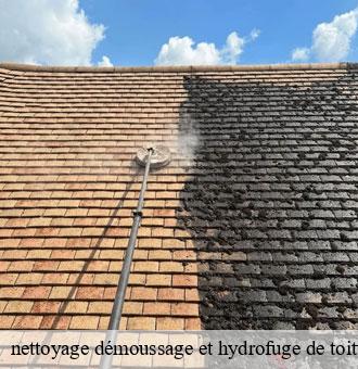 nettoyage démoussage et hydrofuge de toiture et façade nourray-41310 Louis couverture