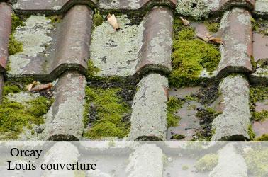   orcay-41300 Louis couverture