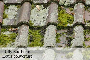   rilly-sur-loire-41150 Louis couverture