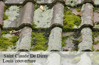   saint-claude-de-diray-41350 Louis couverture