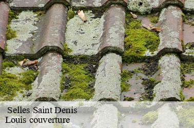   selles-saint-denis-41300 Louis couverture