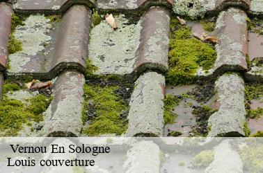   vernou-en-sologne-41230 Louis couverture