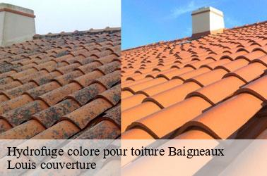 Hydrofuge colore pour toiture  baigneaux-41290 Louis couverture
